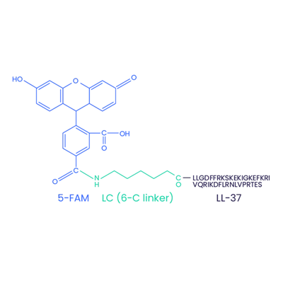 5-FAM-LL-37 (verschlüsselt) CAS 2022972-73-0